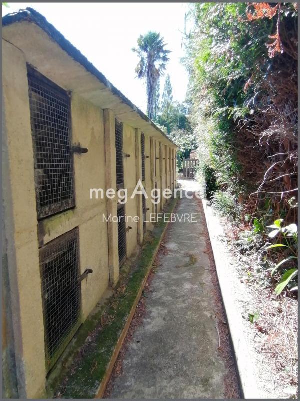 Maison jumelée - 268 m² - 12 pièces