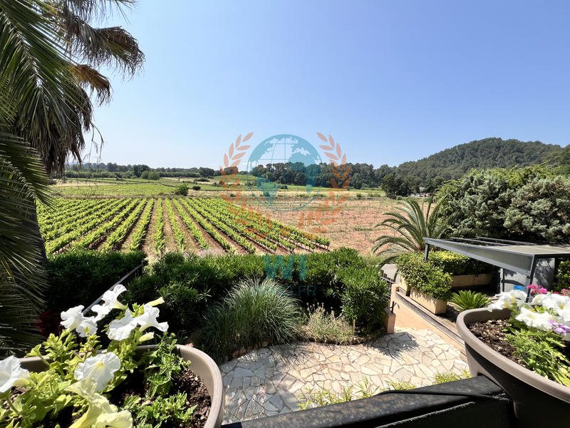 Maison - 233 m² - 10 pièces