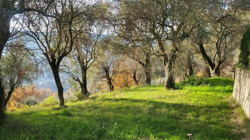 Terrain constructible - 2 800 m²