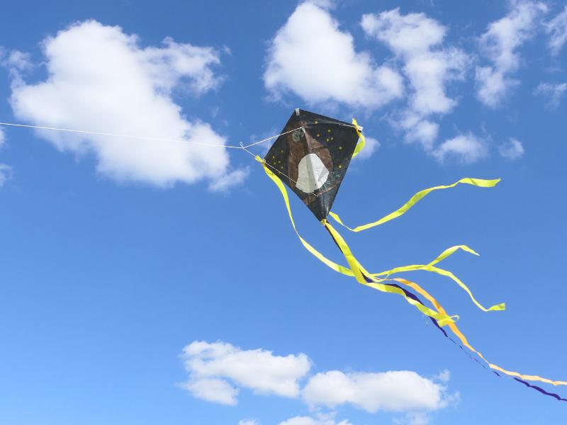 Confection d'un cerf-volant à Terres d'Oiseaux