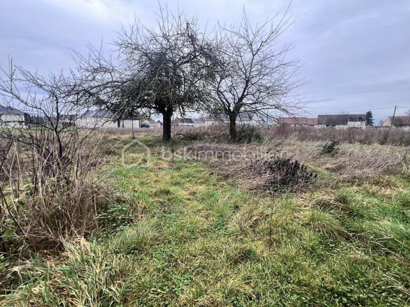 Maison - 76 m² - 3 pièces