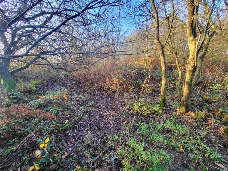 Terrain - 62 680 m²