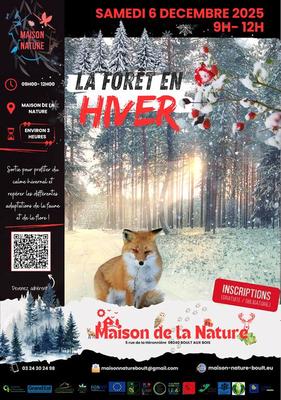 La forêt en hiver