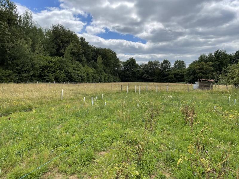 Maison ancienne - 163 m² - 5 pièces