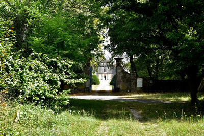 Demeure - 450 m² - 15 pièces