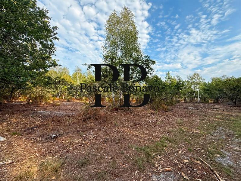 Terrain de loisirs - 2 770 m²