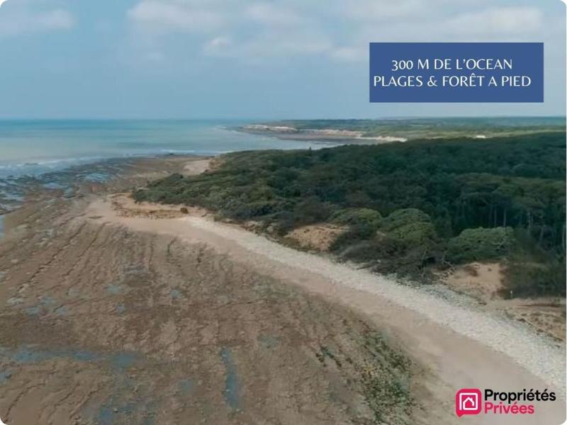 Appartement - 50 m² - 2 pièces