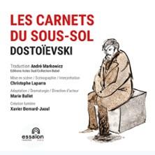 Les Carnets du Sous-sol - la Comédie St-Michel - Grande Salle, Paris