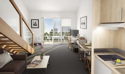 Appartement - 55 m² - 2 pièces