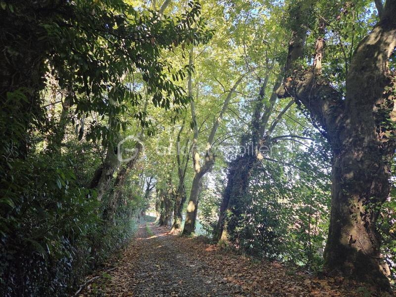 Immeuble - 1 500 m² - 37 pièces