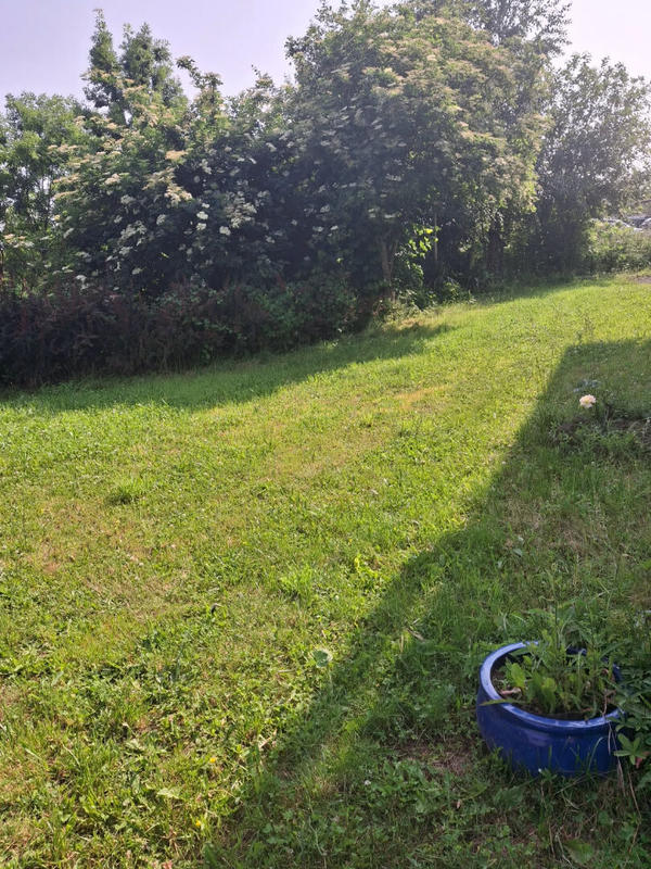 Local commercial - 292 m²