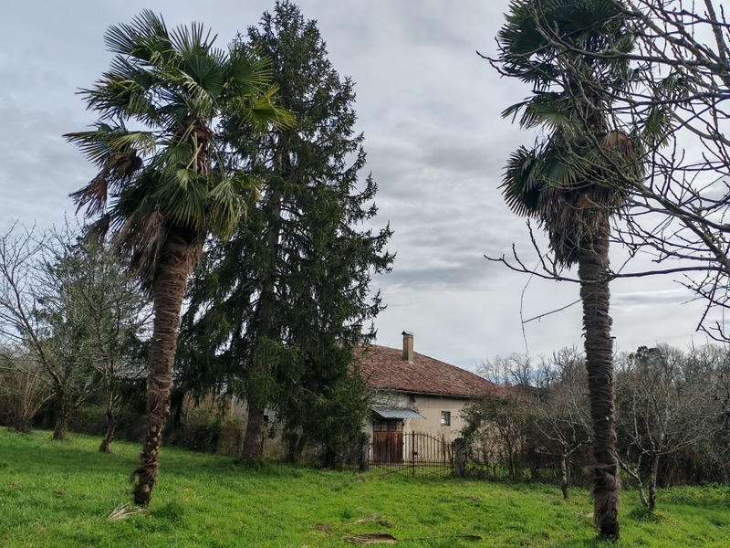 Maison - 60 m² - 3 pièces