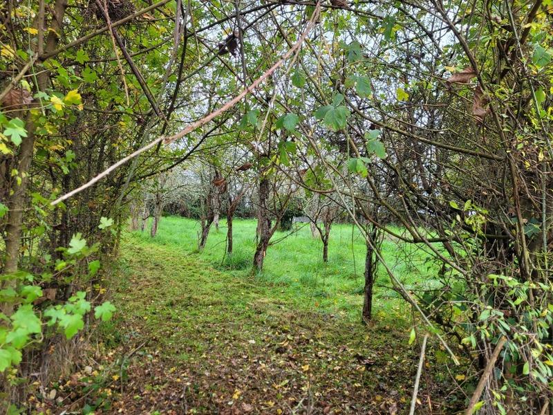 Maison - 25 m² - 2 pièces