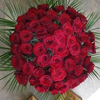 O des Lys des Fleurs