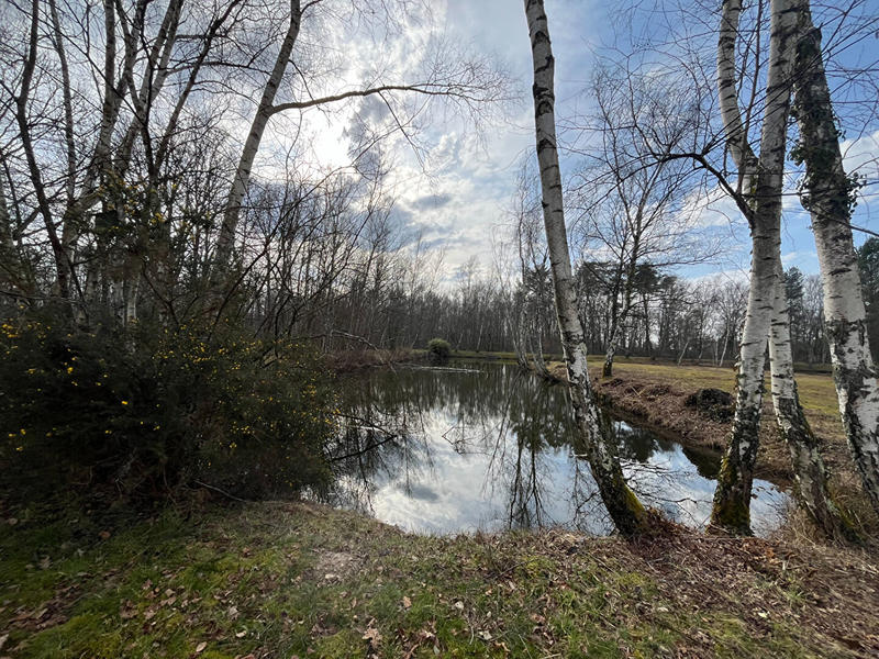 Maison - 74 m² - 3 pièces