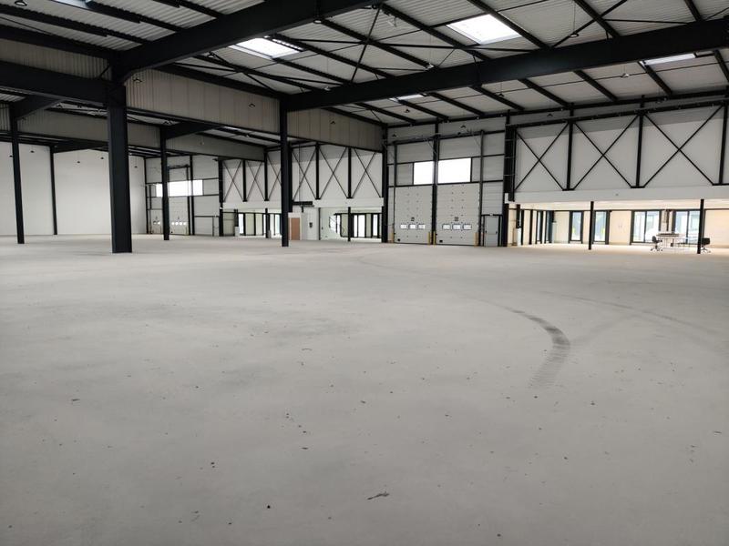 Entrepôt - 1 303 m²
