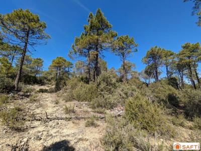 Terrain - 49 930 m²