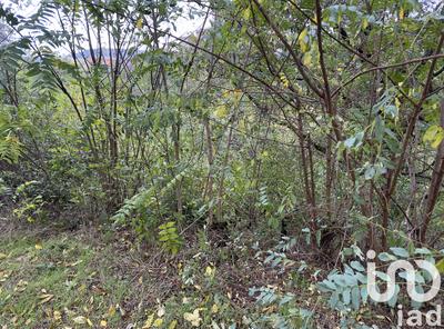 Terrain - 10 076 m²