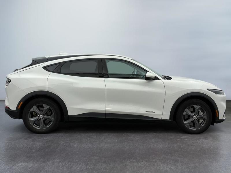 Ford Mustang Mach-E Standard Range 76 kWh 269 ch