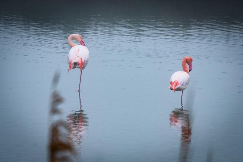 Fonds de commerce - 10 000 m²