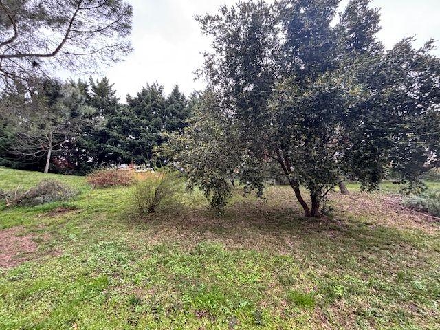 Appartement - 104 m² - 5 pièces