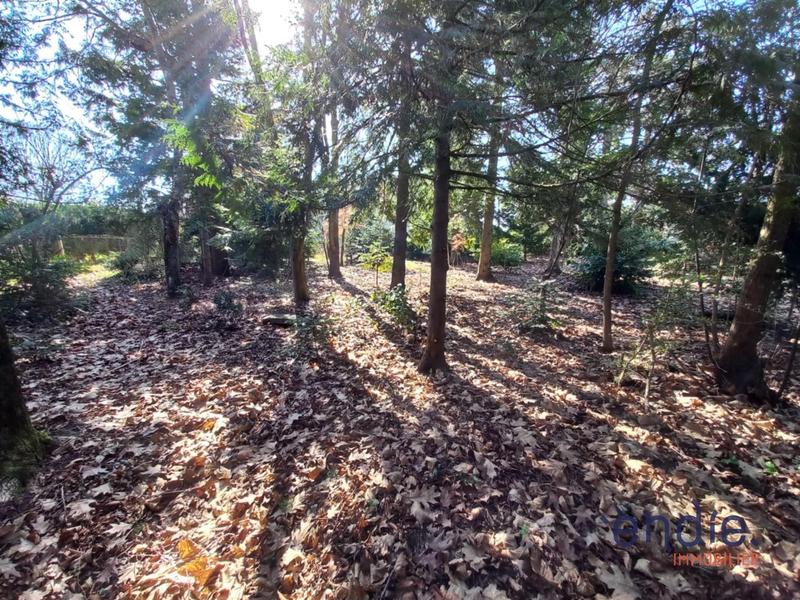 Maison - 128 m² - 5 pièces