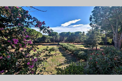 Mas - 170 m² - 6 pièces