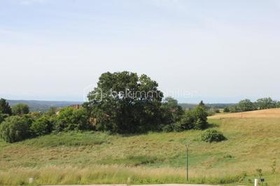 Terrain - 504 m²