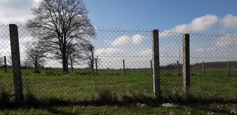 Terrain constructible - 1 037 m²