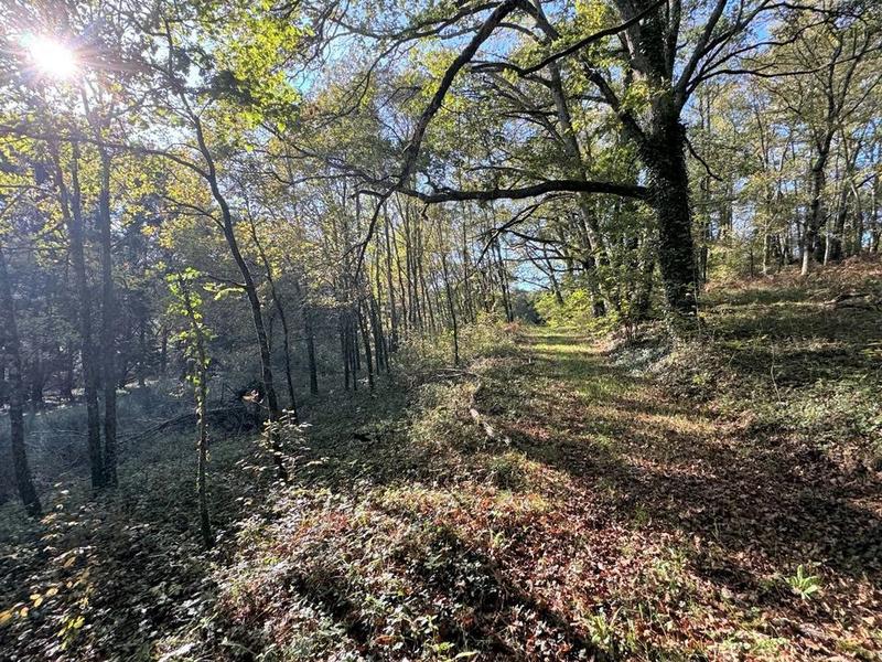 Maison en pierre - 108 m² - 4 pièces