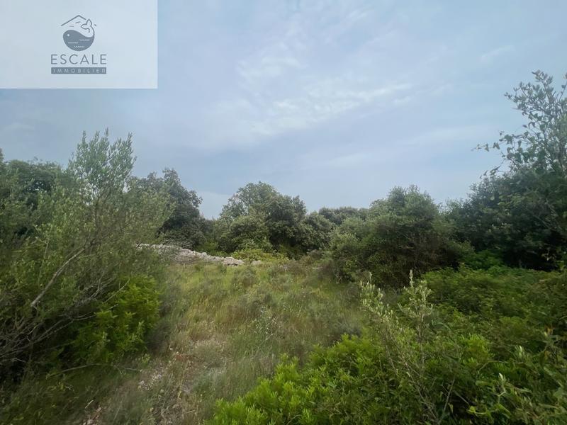 Terrain - 6 091 m²
