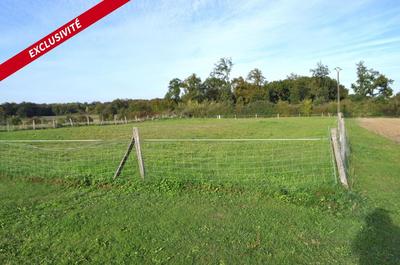 Terrain constructible - 2 250 m²