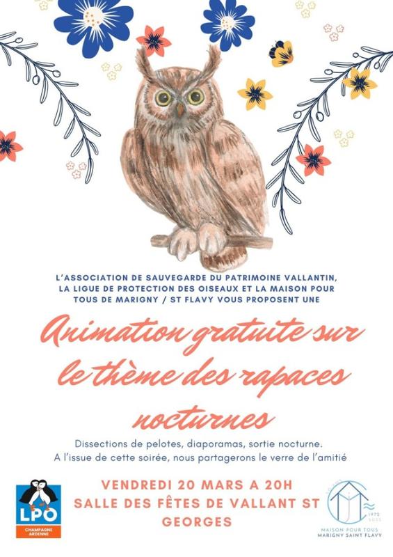 Animation sur les rapaces nocturnes à Vallant-Saint-Georges