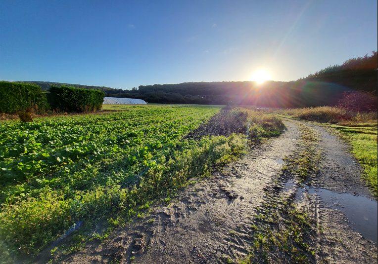 Maison traditionnelle - 120 m² - 6 pièces