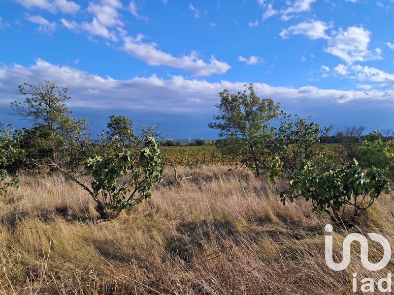 Terrain agricole - 29 000 m²