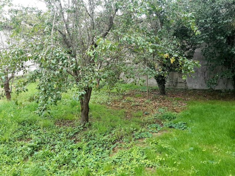 Maison - 78 m² - 5 pièces