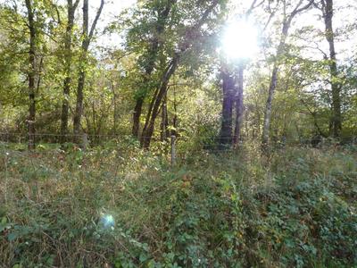 Terrain - 23 320 m²