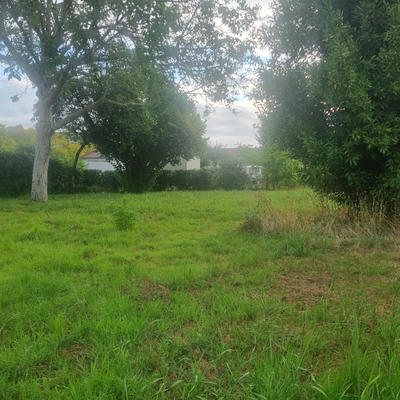 Terrain - 325 m²