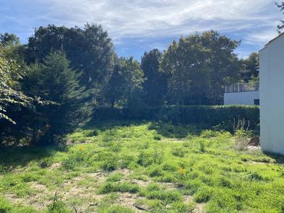 Terrain - 493 m²