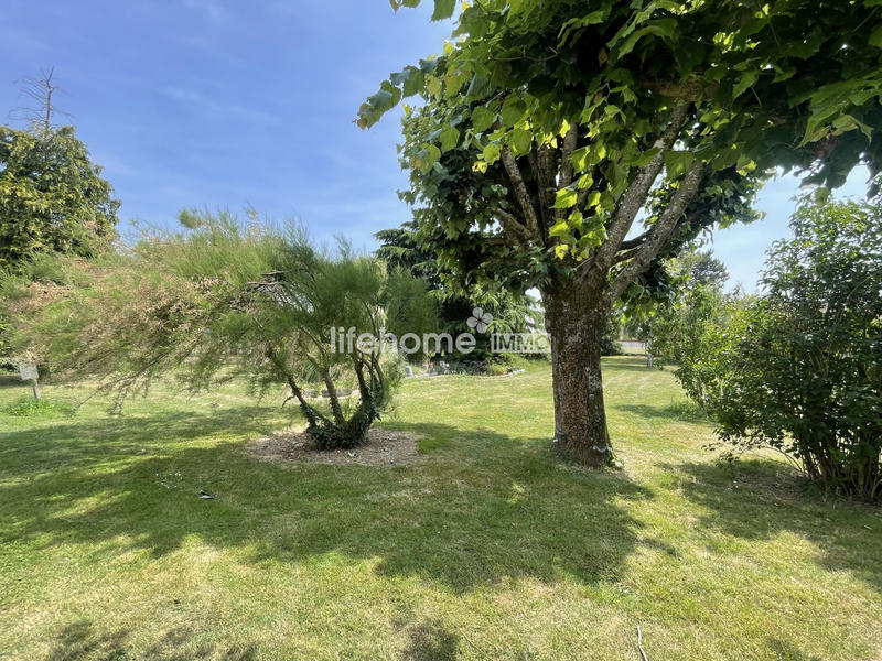 Local commercial - 550 m²