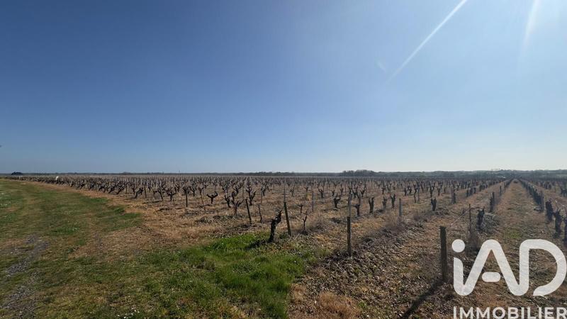 Château - 1 256 m² - 25 pièces