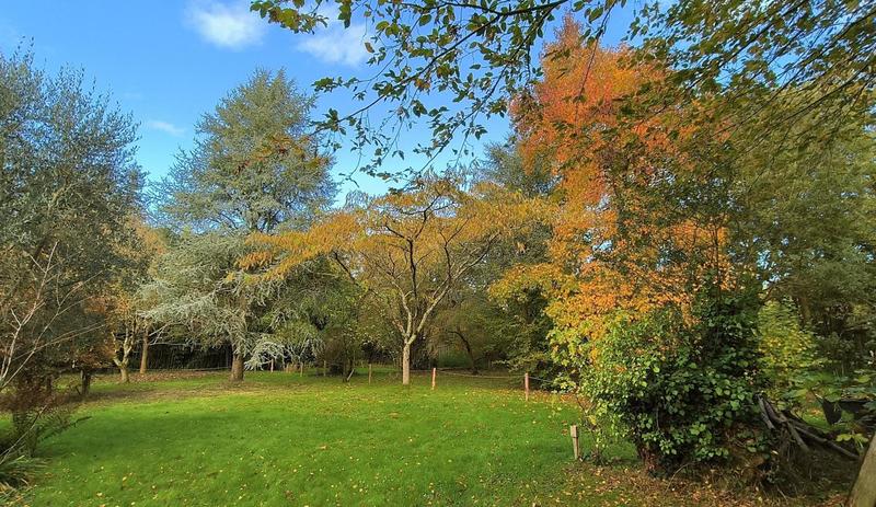 Maison - 178 m² - 7 pièces