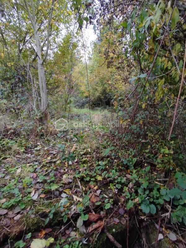 Maison ancienne - 93 m² - 5 pièces