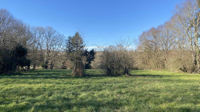 Terrain - 13 000 m²