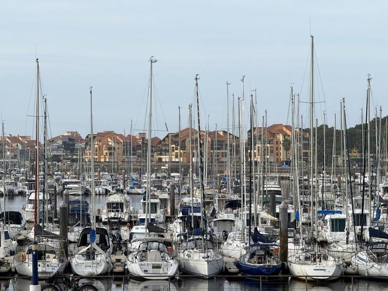 Appartement - 31 m² - 2 pièces