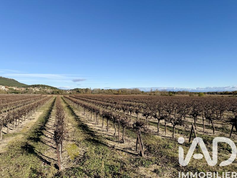 Terrain agricole - 14 667 m²