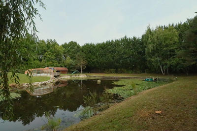 Propriété - 153 m² - 7 pièces