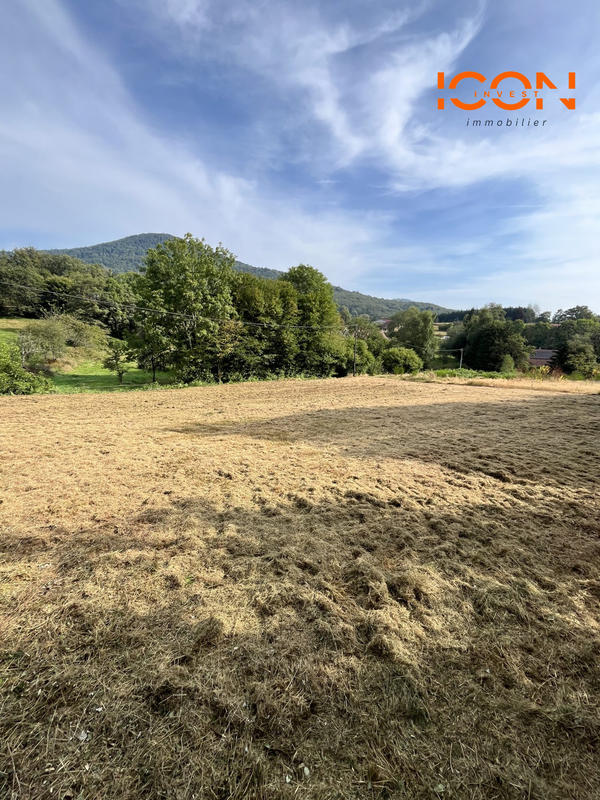 Terrain - 754 m²
