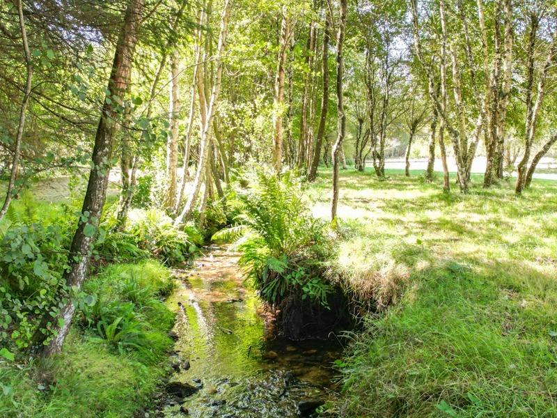 Corps de ferme - 199 m² - 6 pièces