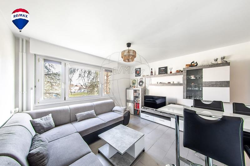 Appartement - 49 m² - 2 pièces